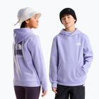 Bluza dziecięca The North Face Evolution Box NSE Pullover Hoodies pale plum