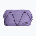 Saszetka nerka The North Face Terra Lumbar 1 l grounded plum/endless