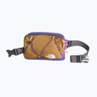 Saszetka nerka The North Face Terra Lumbar 1 l utility brown/peak purple