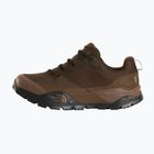 Buty turystyczne męskie The North Face Offtrail Hike GTX dark chestnut/smokey