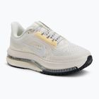 Buty do biegania damskie Nike Pegasus Premium sail/alabaster/anthracite/white