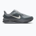 Buty do biegania męskie Nike Pegasus Premium wolf grey/cool grey/anthracite/sail