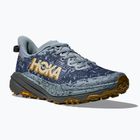 Buty do biegania męskie HOKA Speedgoat 6 GTX washed blue/asphalt grey