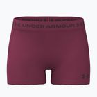 Spodenki treningowe damskie Under Armour HeatGear Shorty claret/ox blood