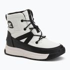 Śniegowce damskie Sorel Whitney III Mid Wp sea salt/black