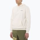 Bluza męska Salomon Chest Logo Hoodie whisper white