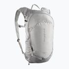Plecak turystyczny Salomon Trailblazer 10 l cloudburst/paloma/silver