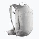 Plecak turystyczny Salomon Trailblazer 20 l cloudburst/paloma/silver