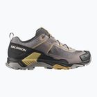 Buty trekkingowe męskie Salomon X Ultra 5 cloudburst/black/willow
