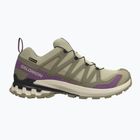 Buty do biegania damskie Salomon XA Pro 3D V9 GTX bog/aloe