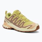 Buty do biegania damskie Salomon XA Pro 3D V9 endive/burro/almond cream