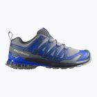 Buty do biegania męskie Salomon XA Pro 3D V9 wrought iron/spellbound