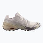 Buty do biegania męskie Salomon Speedcross 6 silver cloud/paloma