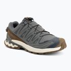 Buty do biegania męskie Salomon XA Pro 3D V9 GTX Lifelong sedona sage/coyote brown