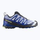Buty do biegania męskie Salomon XA Pro 3D V9 Icon black/brunnera blue