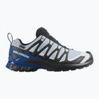 Buty do biegania męskie Salomon XA Pro 3D V9 GTX Icon black/brunnera blue