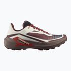 Buty do biegania męskie Salomon Genesis 2 vanilla ice/iron