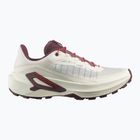 Buty do biegania damskie Salomon Genesis 2 vanilla ice/huckleberry