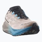 Buty do biegania męskie Salomon Aero Blaze 4 GRVL GTX oxford tan/black