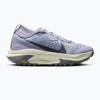 Buty do biegania damskie Nike ACG Zegama ghost/sea glass/smoke grey/cement grey