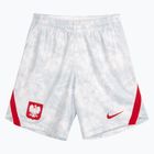 Spodenki reprezentacji Polski męskie domowe Nike Dri-Fit white/field silver