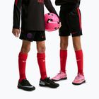 Spodenki piłkarskie dziecięce Nike Paris Saint-Germain Strike black/hyper royal/global red/global red