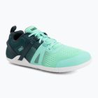 Buty berefoot damskie Xero Shoes Prio Neo sea moss