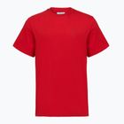 Koszulka męska Columbia CSC Basic Logo Back Tee mountain red/linework c badge