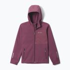 Kurtka softshell dziecięca Columbia Ascender Hooded Softshell antique mauve