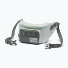 Saszetka nerka Columbia Zigzag II Hip Pack 1 l sedona sage/tea light