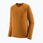 Bluza termoaktywna męska Patagonia Capilene Midweight Crew cinnamon brown