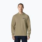 Bluza męska Patagonia Daily Hoody weathered stone