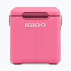 Lodówka turystyczna Igloo Tag Along Too Highrise 18 l pink