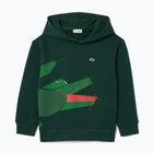 Bluza dziecięca Lacoste SJ2561 sinople