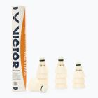 Lotki do badmintona VICTOR Goldmaxima 12 szt.