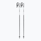 Kije narciarskie damskie LEKI Bliss silvergrey/white/rose gold