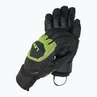 Rękawice narciarskie LEKI WCR Coach 3D black/ice lemon