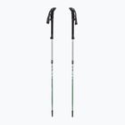 Kije trekkingowe LEKI Makalu FX TA silver/greygreen/white
