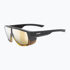 Okulary przeciwsłoneczne UVEX Mtn Style CV havanna matt fade/mirror champagne
