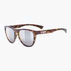 Okulary przeciwsłoneczne UVEX Esntl Spirit havanna matt/mirror silver