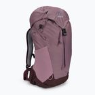 Plecak turystyczny damski deuter AC Lite 14 l SL grape aubergine