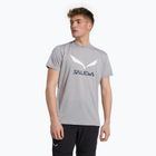 Koszulka męska Salewa Solidlogo Dry heather grey