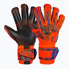 Rękawice bramkarskie Reusch Attrakt Gold X Evolution GluePrint hyper orng/elec blue/blck