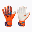Rękawice bramkarskie Reusch Attrakt Freegel Advance shocking orange/blue