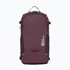 Plecak Jack Wolfskin Velocity 20 l amaranth