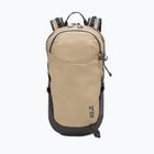 Plecak turystyczny Jack Wolfskin Astro Vent 24 l hazel wood