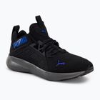 Buty męskie PUMA Softride Enzo Nxt puma black/royal sapphire