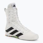 Buty bokserskie adidas Box Hog 4 cloud white/core black/cloud white