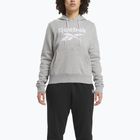 Bluza damska Reebok Identity Big Logo Fleece medium grey heather