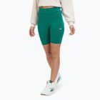 Legginsy damskie FILA Buckautal aventurine